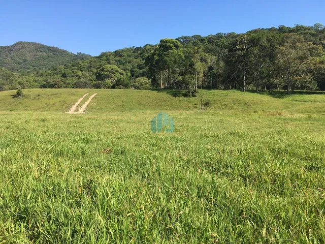 Imagem 2: Sítio com 34 Hectares, em Imaruí