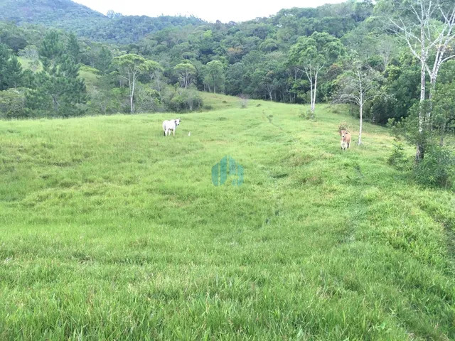 Imagem 3: Sítio com 34 Hectares, em Imaruí