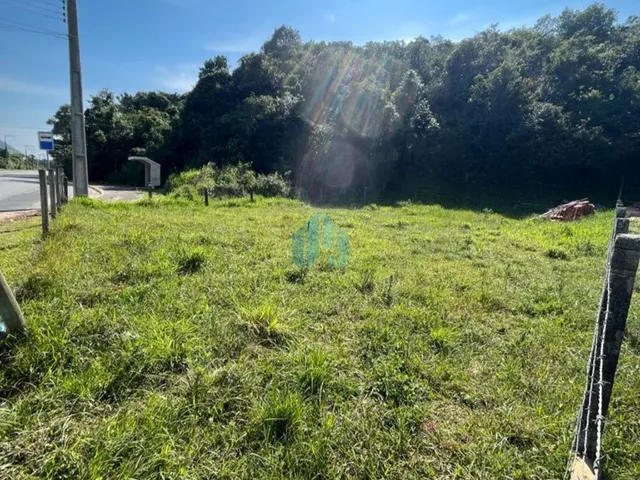 Imagem 5: Ótimo Terreno Residencial/Comercial, Próximo Às Dunas do Siriú e Ao Centro de Garopaba!