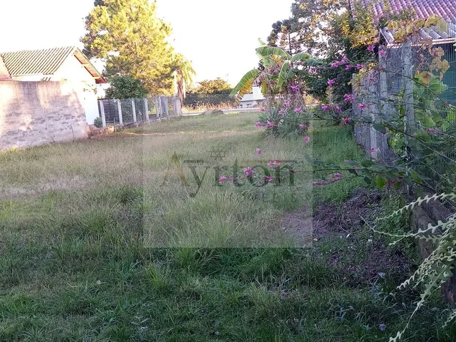 Imagem 5: Terreno à venda no bairro Cidade Nova - Ivoti/RS