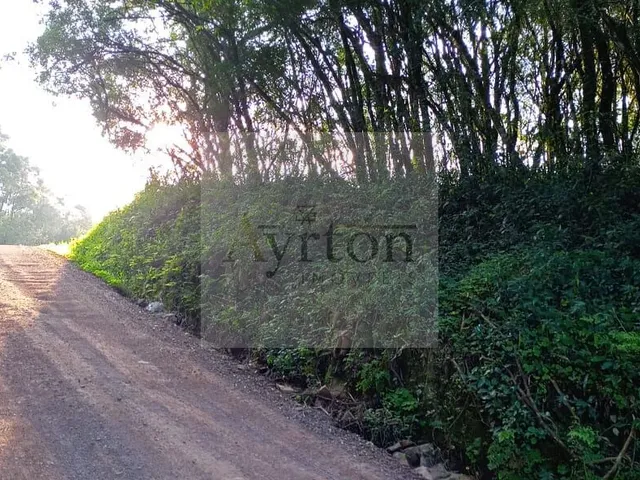 Imagem 10: Área à venda no bairro Rural - Presidente Lucena/RS