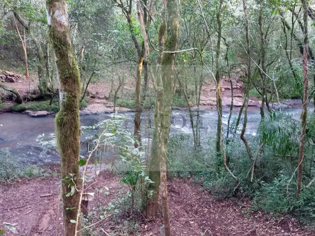 Imagem 11: Área à venda no bairro Rural - Presidente Lucena/RS