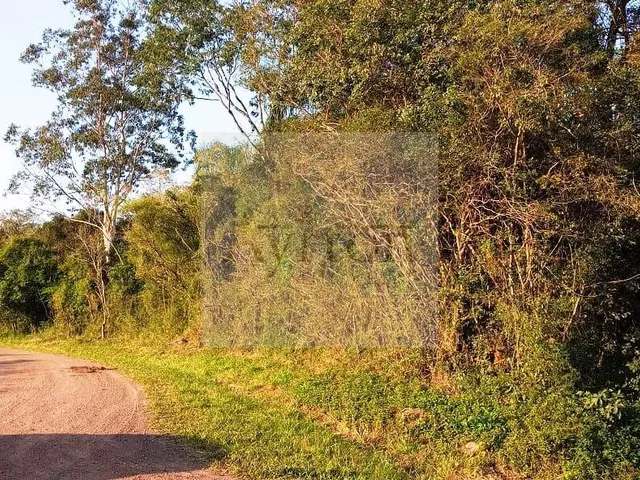 Imagem 7: Área à venda no bairro Rural - Presidente Lucena/RS