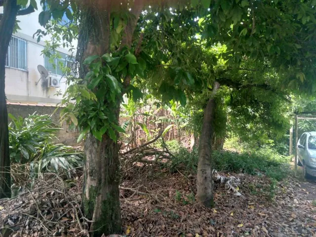 Imagem: Terreno próximo ao centro de Campo Grande