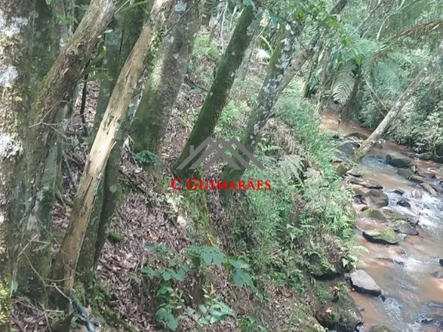 Imagem 13: Chácara à venda em Pinhalzinho, Itapeva-MG: 250m² de área + bosque, mata nativa e