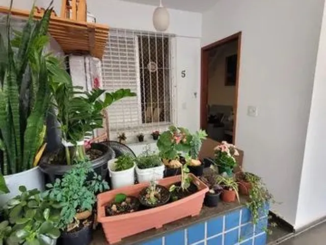 Imagem 4: Belo Horizonte - Casa Padrão - Castelo