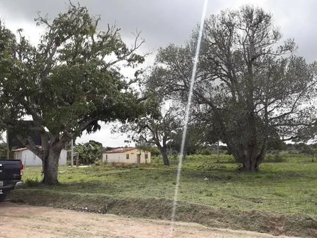 Imagem: Terreno de Chácaras em Serrinha