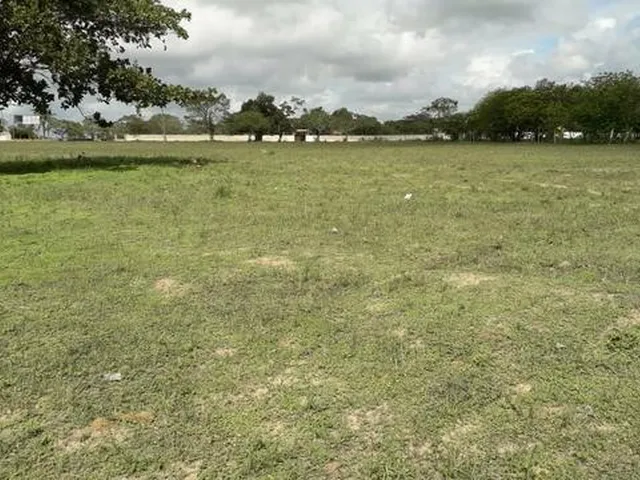 Imagem 2: Terreno de Chácaras em Serrinha