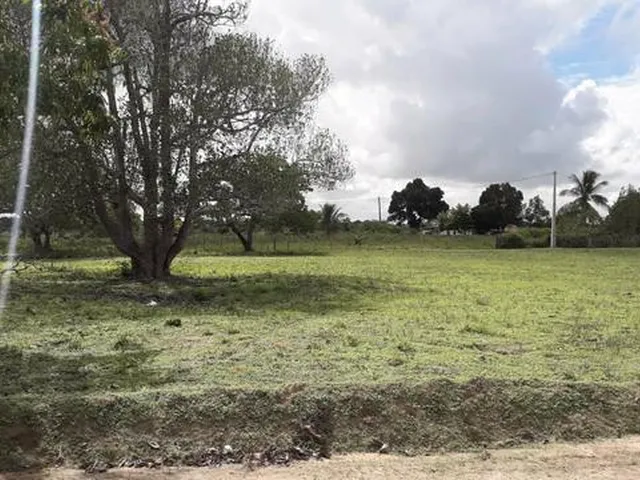 Imagem 3: Terreno de Chácaras em Serrinha