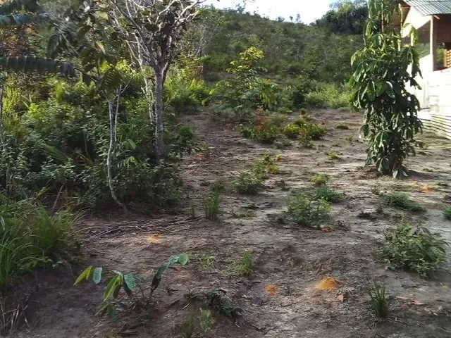 Imagem 6: Sítio em Condomínio Fechado