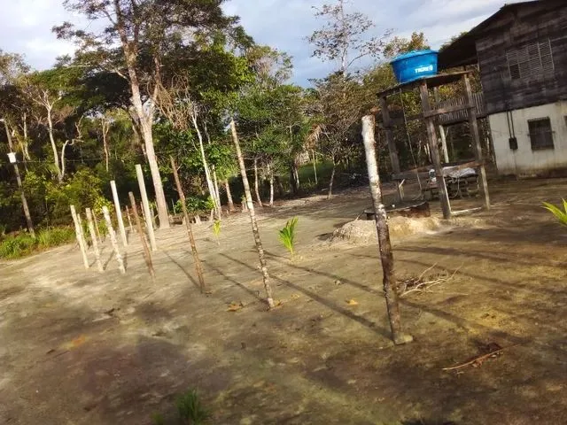 Imagem 14: Sítio em Condomínio Fechado
