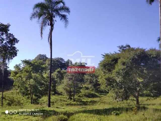 Imagem: A fazenda possui 3 Dormitórios, 3 Suítes, 1.278m² de