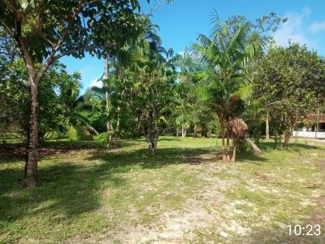 Imagem 3: Sítio no Km 24 da Alça Viaria Perna Leste Proxino a Vila Sao Raimindo