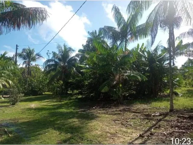 Imagem 6: Sítio no Km 24 da Alça Viaria Perna Leste Proxino a Vila Sao Raimindo