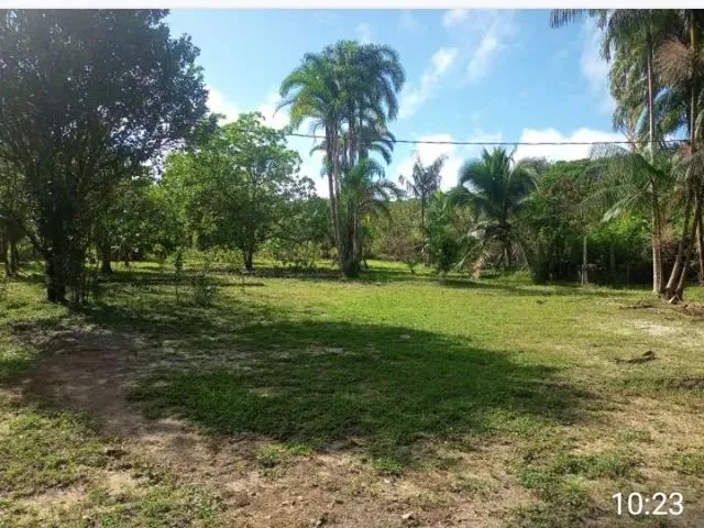 Imagem 2: Sítio no Km 24 da Alça Viaria Perna Leste Proxino a Vila Sao Raimindo