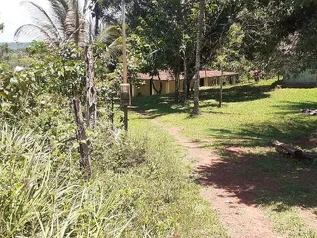 Imagem 5: Vendo Fazendinha em Valença