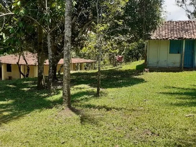 Imagem 4: Vendo Fazendinha em Valença