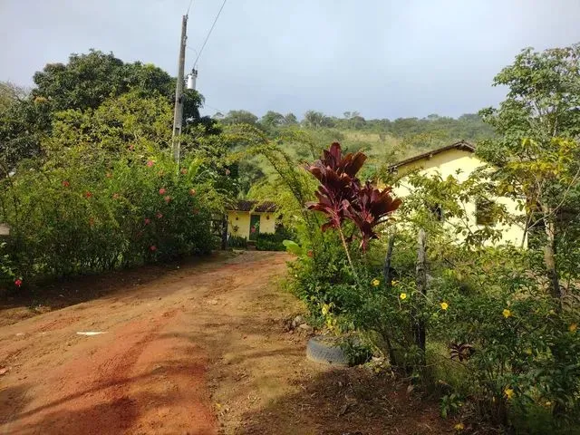 Imagem: Vendo Belissima Propiedade de 25,5 Hectares