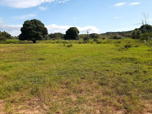 Imagem: Fazendinha 121 Hectares !!!Água de Rio!!!Energia