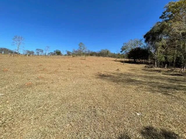 Imagem 11: Fazendinha de 11 Hectares com Nascente de Água e 10 Mil Pés de Eucaliptos Plantados Em