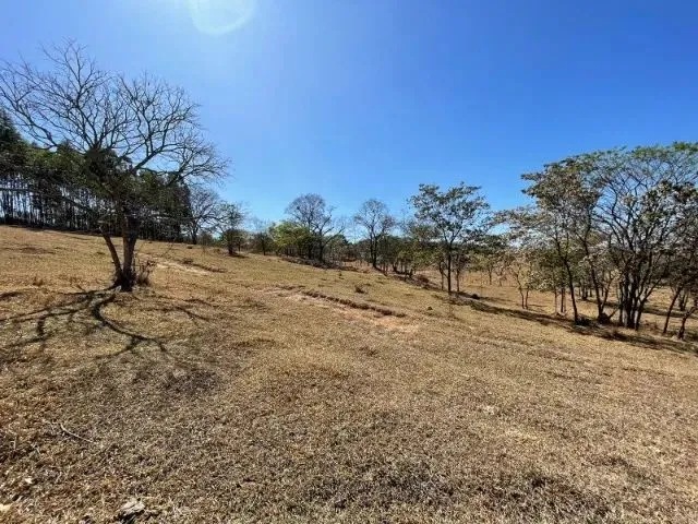 Imagem 14: Fazendinha de 11 Hectares com Nascente de Água e 10 Mil Pés de Eucaliptos Plantados Em