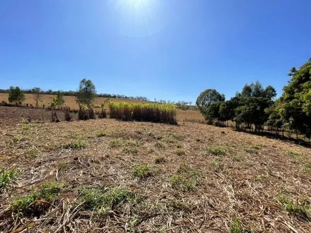 Imagem 6: Fazendinha de 11 Hectares com Nascente de Água e 10 Mil Pés de Eucaliptos Plantados Em