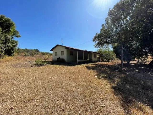 Imagem 5: Fazendinha de 11 Hectares com Nascente de Água e 10 Mil Pés de Eucaliptos Plantados Em