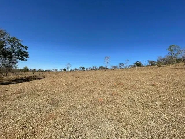 Imagem 13: Fazendinha de 11 Hectares com Nascente de Água e 10 Mil Pés de Eucaliptos Plantados Em