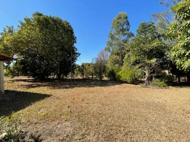 Imagem 7: Fazendinha de 11 Hectares com Nascente de Água e 10 Mil Pés de Eucaliptos Plantados Em