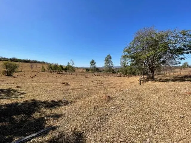 Imagem 2: Fazendinha de 11 Hectares com Nascente de Água e 10 Mil Pés de Eucaliptos Plantados Em