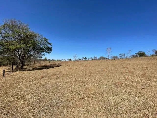 Imagem 15: Fazendinha de 11 Hectares com Nascente de Água e 10 Mil Pés de Eucaliptos Plantados Em