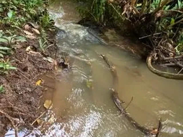 Imagem: Chácaras com Córrego,Cercada e Energia