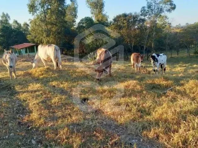 Imagem: Sitio Rural em Porto Feliz - Sp, Reecanto