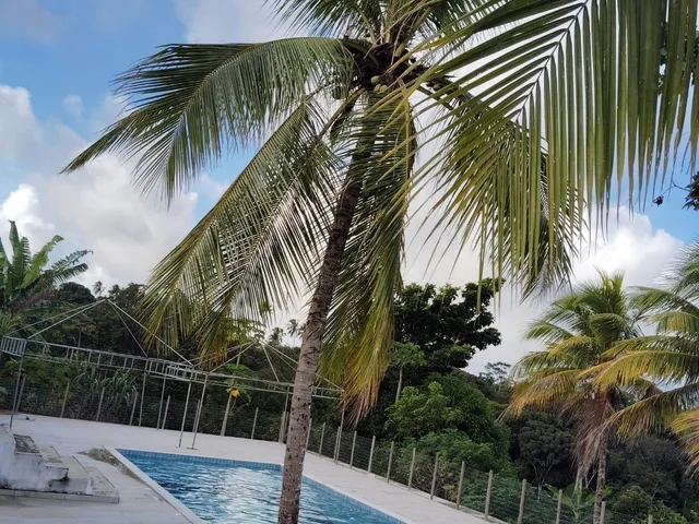 Imagem: SÍTIO COM PISCINA COM RAIA, RUA ASFALTADA