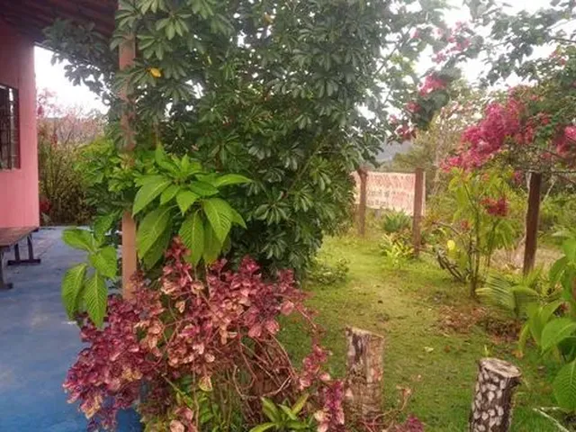 Imagem 4: Casa de Campo com Piscina Vendo Ou Alugo