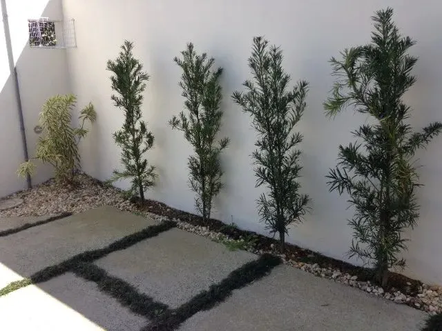 Imagem 13: Sobrado a Venda em Pirabeiraba, com 3 Suítes, Espaço para Piscina
