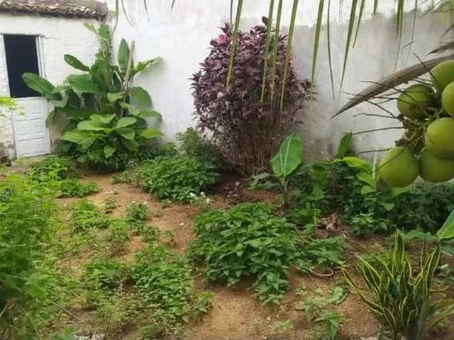 Imagem 3: Casa Grande com 3/4, 1 Suíte, Poço Verde-Se