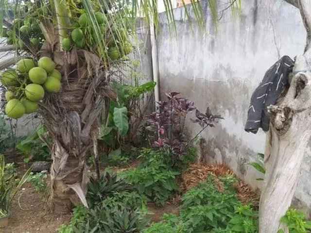 Imagem 14: Casa Grande com 3/4, 1 Suíte, Poço Verde-Se