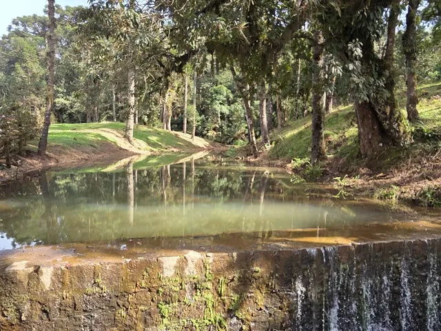 Imagem 6: Terreno Rural em Campo Alegre - Sc, Lavrinha