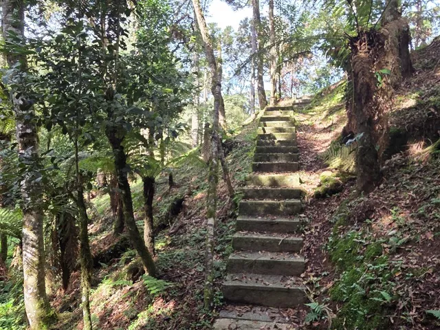 Imagem 13: Terreno Rural em Campo Alegre - Sc, Lavrinha