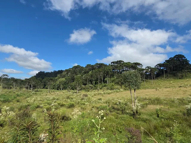 Imagem 4: TERRENO RURAL em CAMPO ALEGRE - SC, Laranjeiras