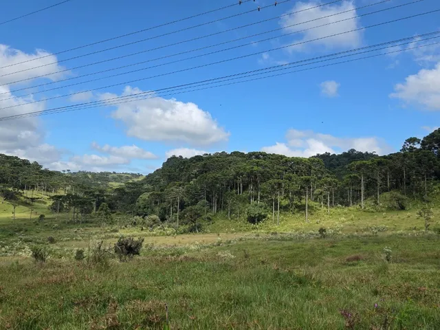 Imagem 3: TERRENO RURAL em CAMPO ALEGRE - SC, Laranjeiras