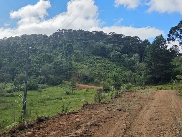 Imagem 7: TERRENO RURAL em CAMPO ALEGRE - SC, Laranjeiras