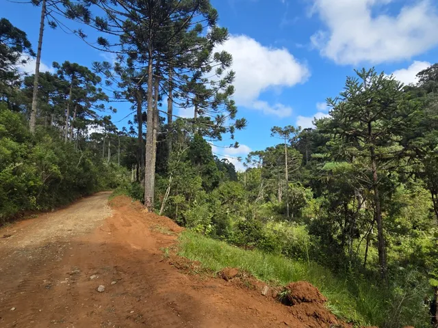 Imagem 3: TERRENO RURAL em CAMPO ALEGRE - SC, Laranjeiras