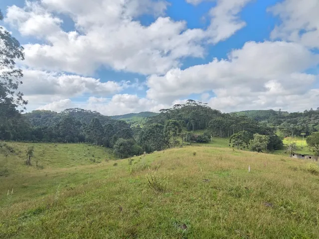 Imagem 3: TERRENO RURAL em CAMPO ALEGRE - SC, Laranjeiras