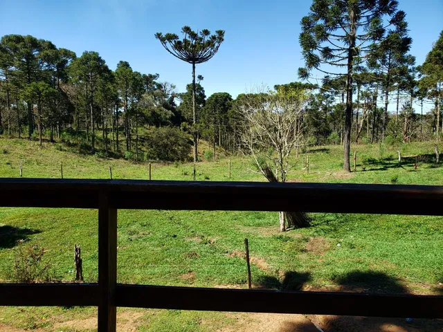 Imagem 7: CHACARA RURAL em Campo Alegre - SC, Papanduvinha