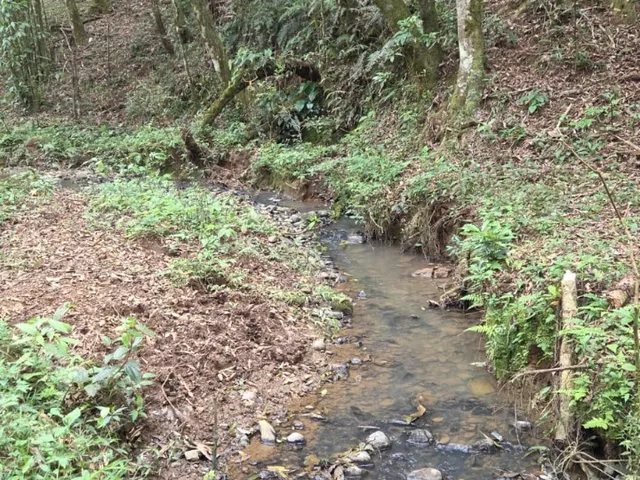 Imagem 16: CHACARA RURAL em Campo Alegre - SC, Papanduvinha