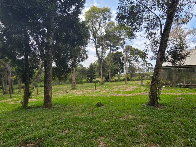 Imagem 5: TERRENO RESIDENCIAL em CAMPO ALEGRE - SC, Campestre