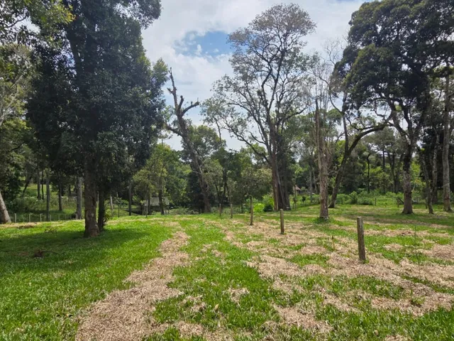 Imagem 4: TERRENO RESIDENCIAL em CAMPO ALEGRE - SC, Campestre