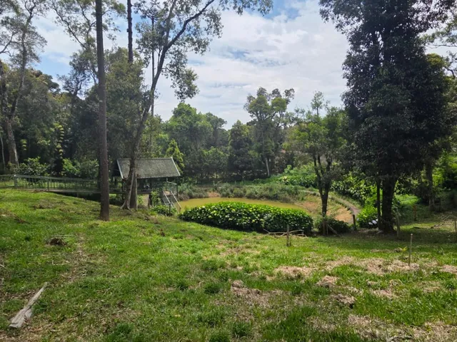 Imagem 7: TERRENO RESIDENCIAL em CAMPO ALEGRE - SC, Campestre